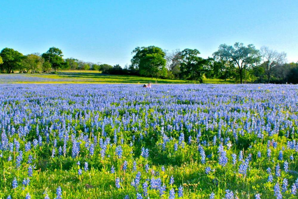 Square Inn Wimberley Εξωτερικό φωτογραφία